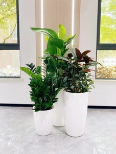 奉化盆景租摆设计